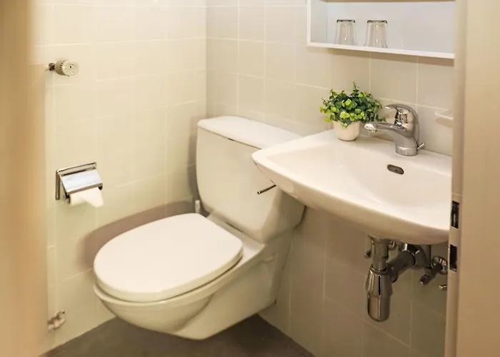 Rosablanche C66 By Interhome *